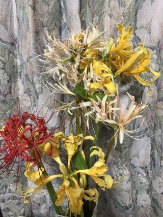 Defbba388af54cf98bc12c870bcaa3f1 Defbba388af54cf98bc12c870bcaa3f1