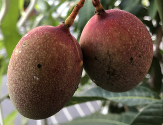 C78b666ff2c24302925f9a52e47c7d24