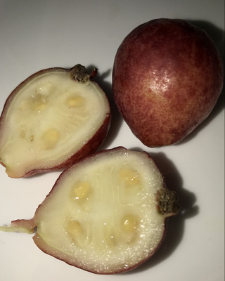 1f0e5869c0a5405b95314fe1af2abb1c