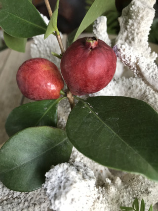 77af1f1414834c65980d273d96ccd2d8