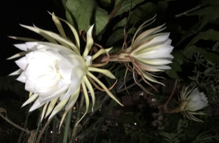 4ed444fdc51d4009b07504ff8fe87ddb 4ed444fdc51d4009b07504ff8fe87ddb