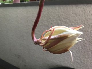 A4a5b9d203a1489daae2ab62eb5df524 A4a5b9d203a1489daae2ab62eb5df524