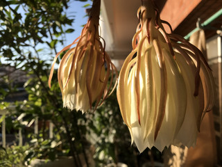 F67228dd10d44c50afe69214684b83df