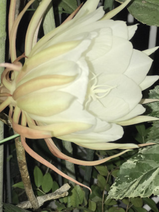 8fbed96606ff459984d3814419c1a857