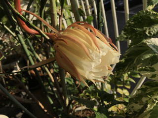 Bce69773378d4fa48528f6930df166b7