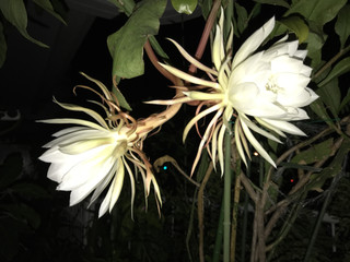 Ea032ab51d0a4ea68567681d6b7a8d47