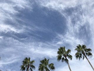 64ef2a4199fc45229fec619616926686