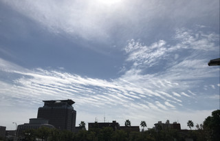 86f78ecae7ca4c11aafe8a16d7a1aca3