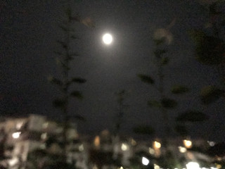 1d8b6856fdb14b0aa336bbce9cb841fd