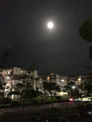 21bce10ca5694da98568afcbbfdcd0af