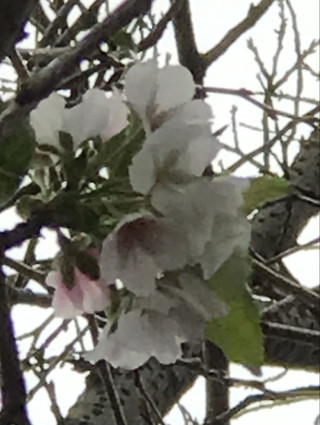 2570e6567b0d4ff3a377063c0b4d0369