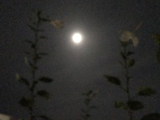 64b39ee694494ba2ad12386aaa18fdbb