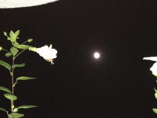 E0293657d773459da75908e8018d27b3