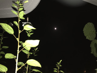 Fe75ed1e5b6740848e89f5d8e3327d9f