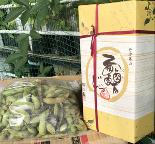 59966776a3a94770a45662ee052029b4