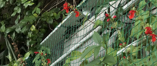 912645a76c1d465e9c4bc5f8ef2445bb