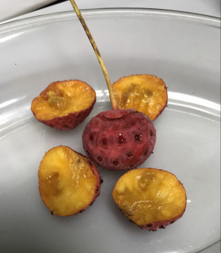 0484b9523ffb4a17b6a5fae223a38708