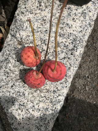 9391cf669c994a22b02a50171637ca3c