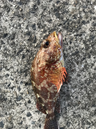 2a1c760006714dc2893094fe64f6ba2a