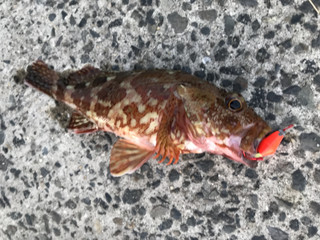 9d7355523ee045b7bed00829b431b071