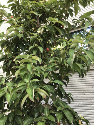 D76e4111b3044a56884c975f28d68786