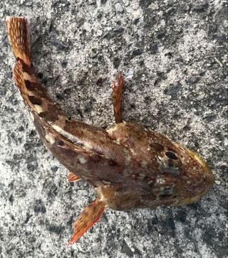 F99c4602e7134f239e9bb00da5e79fc7