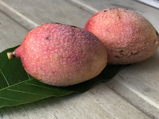 Ae479061c8714c1fa80c6da8e4ccdcc7