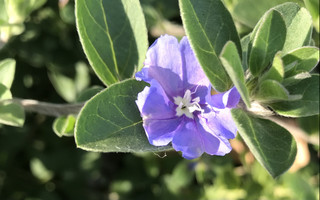 Abaa55bd2d844e9fbbfcfe9924624a64