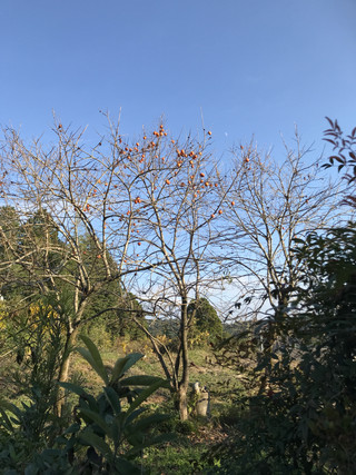 B1069168362d4d10bd0271348dc05665