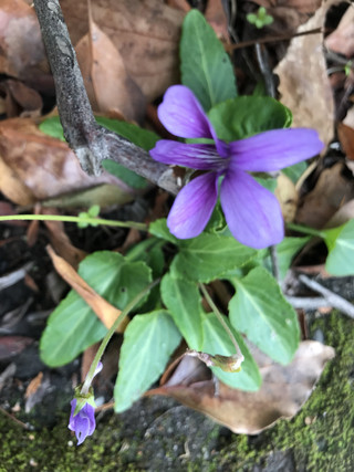 9c183fe4c3e04635a03e16f3fff8b9fd