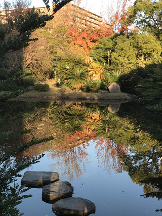 0651b6c13fd446faa3d8ce5b177dc8e2