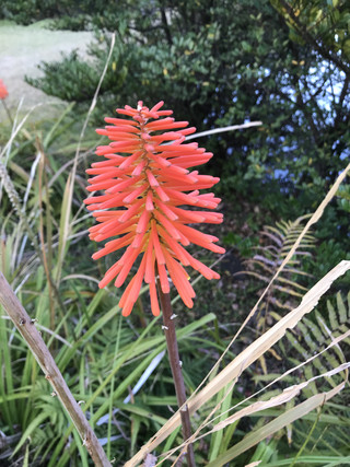 0ef83a48151f4fd29591961f6f8ac15c