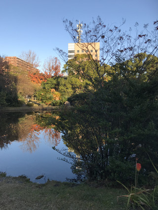 1de766db9b954281b067d0bd72750e3d