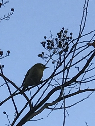 610a3a3a5d094910a18ec8d8621db540