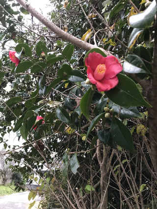 9bddc27661de4b5398e9be3ef2deb897