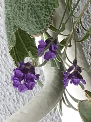 509741c415e34600a3d64c7cf52d4a0d