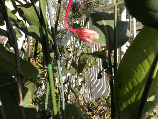 6d7d70390b2047ce80b94c43e231188a