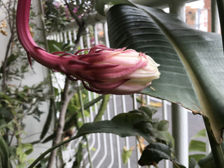 Fdd7c5a8d7964f5ca93dab00ebbd629a