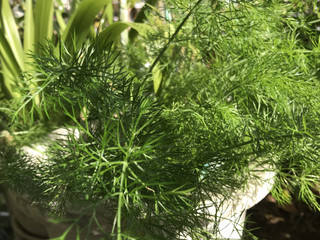 009f628993674768b6b13407c5b77dfe