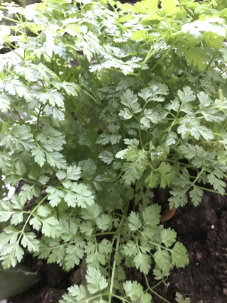 2aaf132a2c3e46478a33b3ef7d74992b