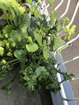 39b69c5a63d5412898f9bd08afe62944