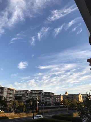 8cb8b35542a14c5ba86f52fdfc39445c