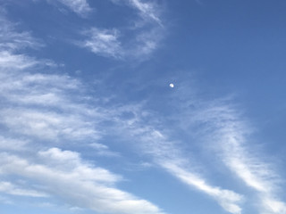 9ba022354a8b4ac6975fd3cf36530422