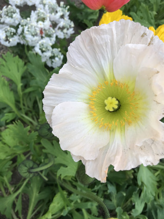 Bc3f0bd93a7845b789581dcce6152fe7