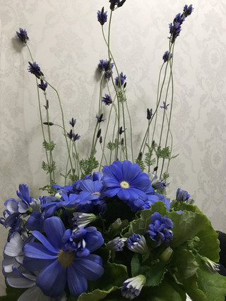 1f17a7ee3a9b4a39b05071edf4ea6e12