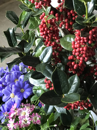 63bdcb65af814a47b6e75b972c68093f