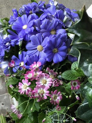 66e811d07f9a45b9a96a431074442b99