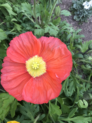 B5d19df766474ccaa70db372a25c9573