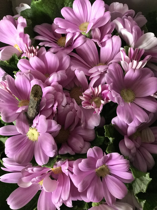 C8f7f76b9ae34341ad5fa3d537d448ed