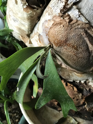 F7a0e13b763d4e81a1a9018dbc4f0f65